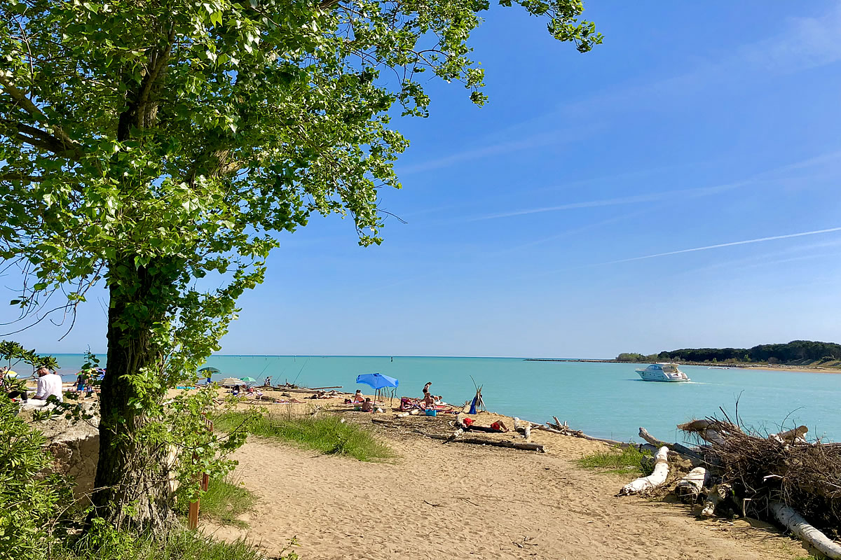 View of the naturalistic area: View of the river Tagliamento