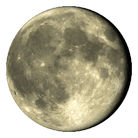 Waning moon 95% Full