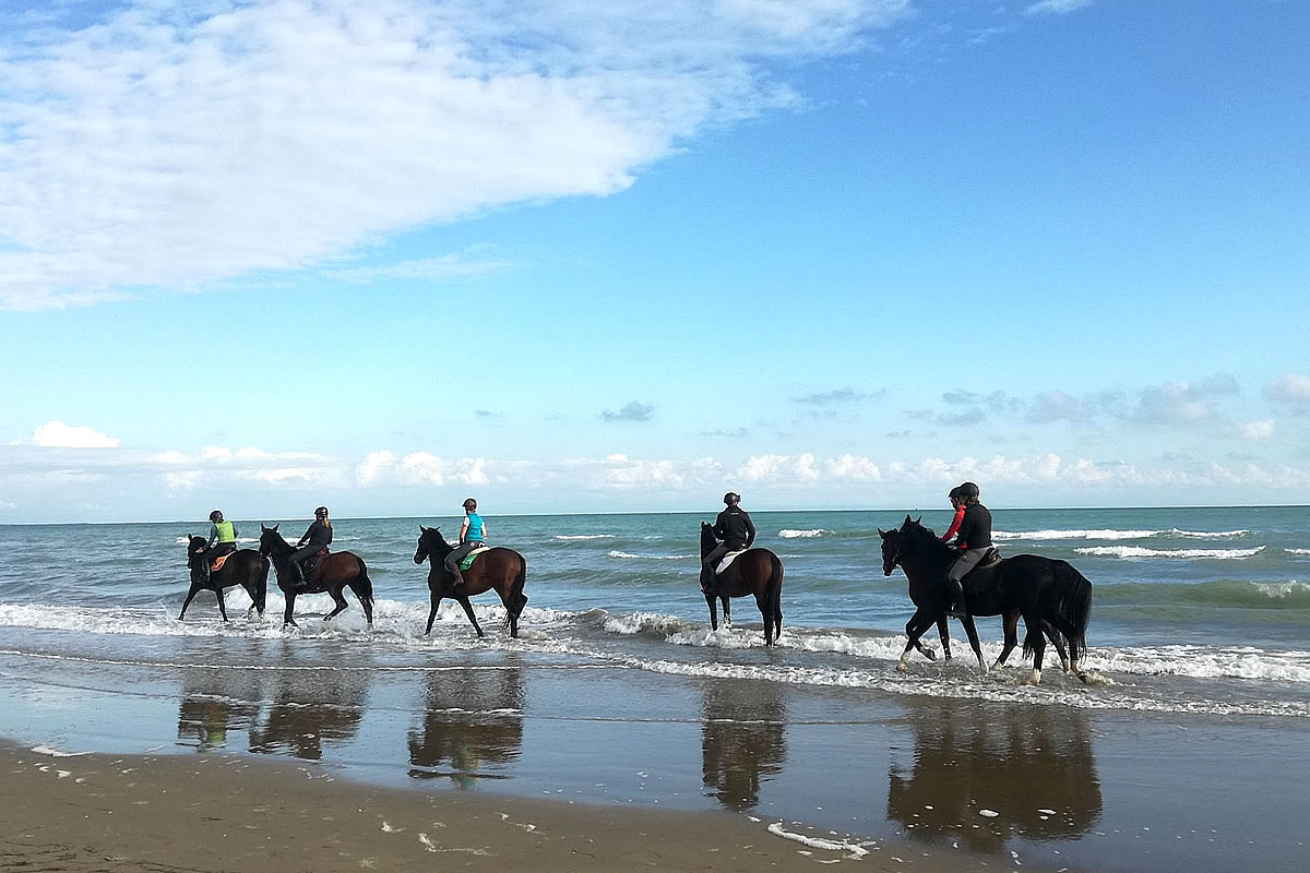 Ride with a horse along the beach